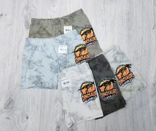 Труси боксери для хлопчика   Donella boys Туреччина