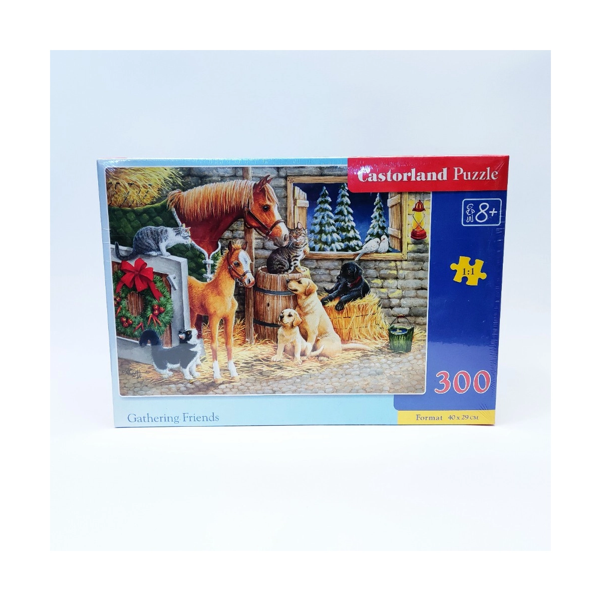 Пазли  Castorland Польща