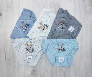 Труси для хлопчика Donella boys Туреччина 