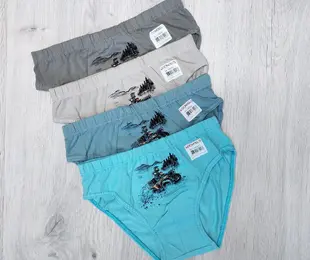 Труси для хлопчика Donella boys Туреччина 
