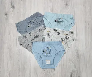 Труси для хлопчика Donella boys Туреччина 