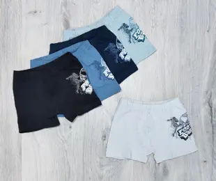 Труси боксери  для хлопчика  Donella boys Туреччина 